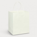 Medium Paper Carry Bag Full Colour+unbranded