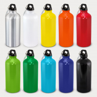 Intrepid Bottle (600mL) image