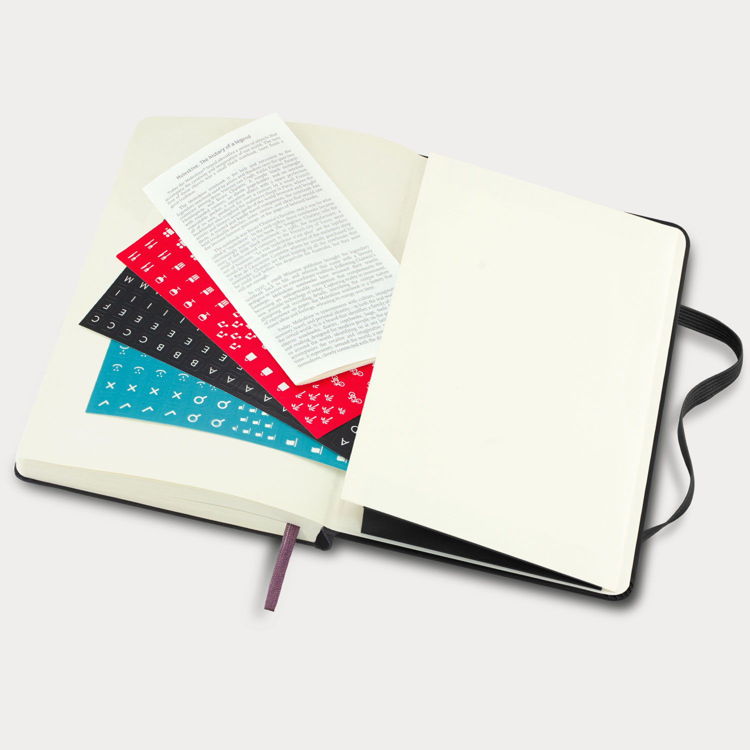 Moleskine 2025 Planner (Daily) PrimoProducts