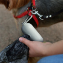 Pet Bag Dispenser+in use