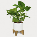 Planter with Bamboo Base+with plant