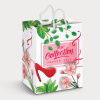 Large Laminated Paper Carry Bag (Full Colour)